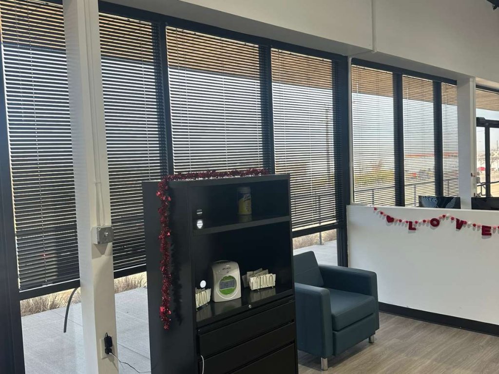 Windows Cordless Blinds